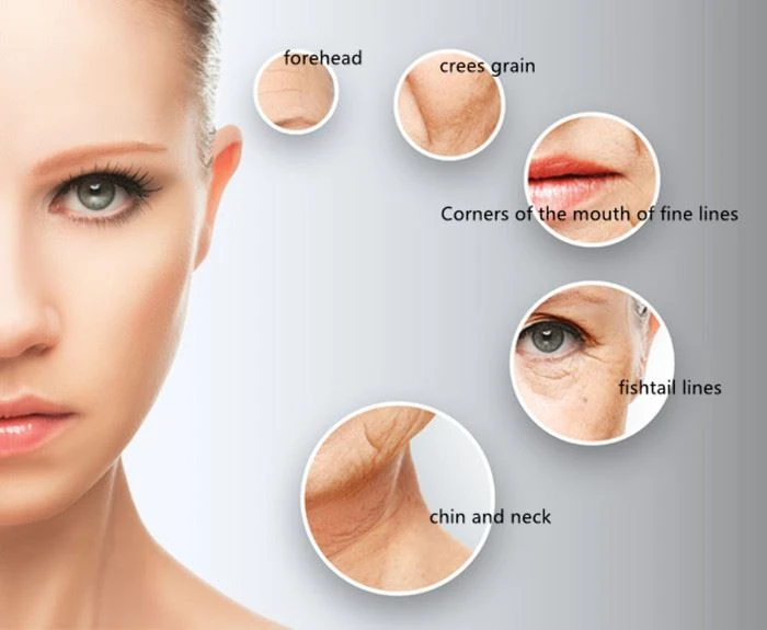 4D HIFU Facelift Body Slimming Machine